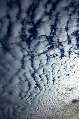 Looking up at the Sky