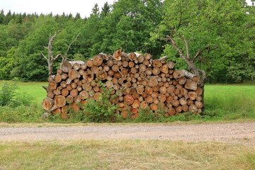 Stack of Wood wood stacked for drying in the woodpile on the green meadow
