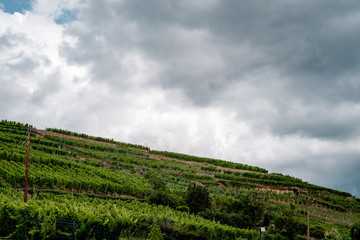 Obraz premium Picturesque views of the streets of Ribeauville in Alsace, France