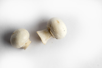 fresh champignon mushrooms on a white background