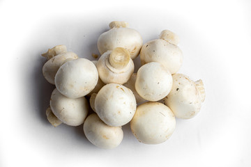 fresh champignon mushrooms on a white background