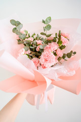 Woman hand hold pink carnation on white background.
