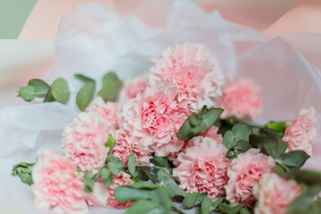 Flower bouquet background. Pink Carnations.