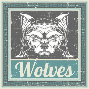 grunge style wolf hand drawing vector