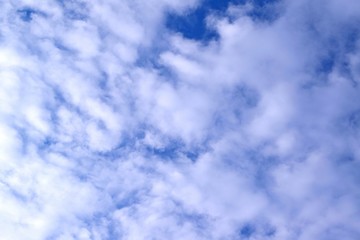 Obraz premium blue sky with white clouds