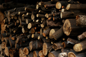 積まれた薪