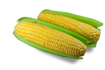 Sweet corn is most popular. High in sweetness and low in fat By boiling or roasting.
