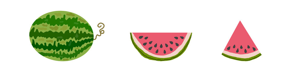 Vector watermelon set on white background. - obrazy, fototapety, plakaty