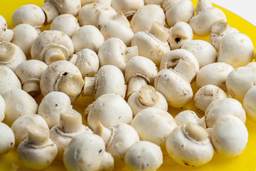 Tasty mushrooms on a wooden table. Mushrooms in the kitchen on a chopping board. Light background.