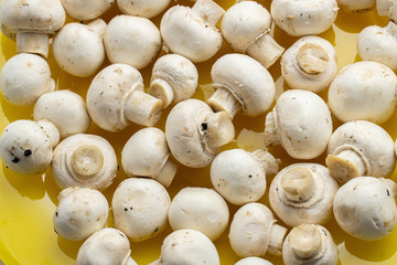 Tasty mushrooms on a wooden table. Mushrooms in the kitchen on a chopping board. Light background.