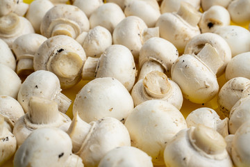 Tasty mushrooms on a wooden table. Mushrooms in the kitchen on a chopping board. Light background.