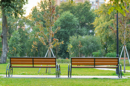 benches in the park. two wooden empty park benches in the park among green trees and green grass