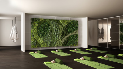 Empty yoga studio interior design, space with mats, hammocks, pillows and accessories, parquet, mirror, vertical garden and big panoramic window, ready for yoga practice, meditation