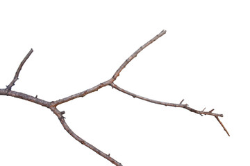 barbed wire isolated on white background