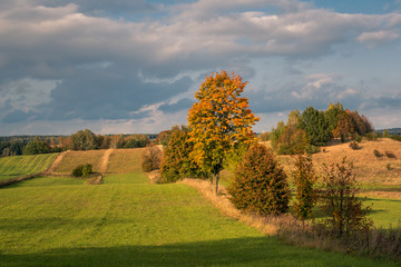Masurian meadows at autumn near Banie Mazurskie, Masuria, Poland
