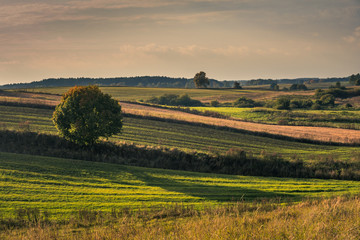 Fototapeta premium Masurian meadows at autumn near Banie Mazurskie, Masuria, Poland