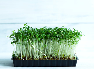 Watercress salad in a small bowl on a white wooden background. Microgreen. Sprouts of lettuce. Healthy eating