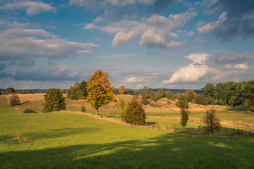 Masurian meadows at autumn near Banie Mazurskie, Masuria, Poland