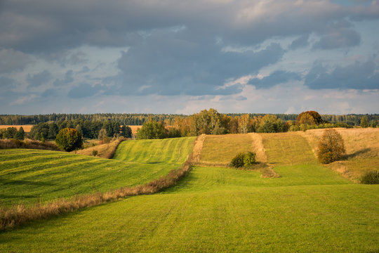 Masurian meadows at autumn near Banie Mazurskie, Masuria, Poland