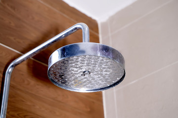 Stainless steel rainfall shower  head 