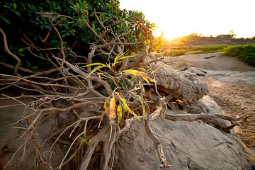 Magnificent scenery of the desert, rocks, valleys with blue sky