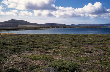 Ile Pebble, Iles Falkland, iles Malouines