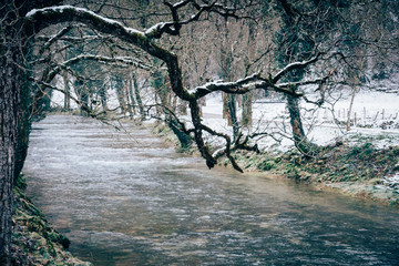 Fototapeta premium Une rivière en hiver. Une rivière en crue. La fonte des neiges et une rivière.
