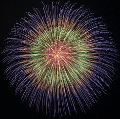 日本伝統大玉単発花火（菊花）