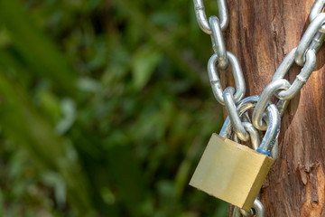 Locker with chain close up with blurred green background and copy space. Padlock secret symbol...