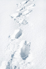 Fussspuren im tiefen Schnee, Fußspuren von einem Menschen