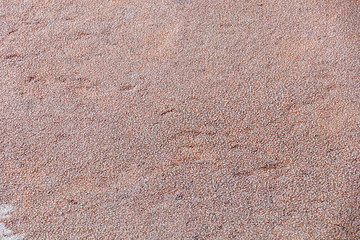 Fototapeta na wymiar Salt crystals on the salty surface of desert close up. Natural background with copy space