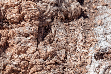 Salt crystals on the salty surface of desert close up. Natural background with copy space