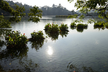 Artificial Bogambara Lake (Sea of Milk), Kandy, Sri Lanka