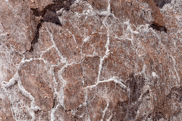Salt crystals on the salty surface of desert close up. Natural background with copy space