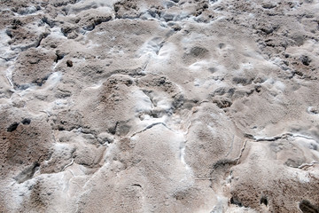 Salt crystals on the salty surface of desert close up. Natural background with copy space