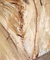 Inside of a rough wooden structure backlight