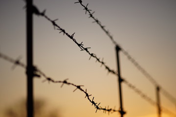 black silhouette of a barbed wire fence in evening. - obrazy, fototapety, plakaty