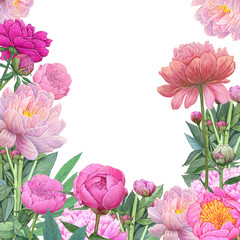 floral background ,pink and red flowers peonies.illustration for postcards
