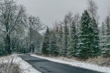 Zima w lesie i na drodze, trudne warunki drogowe podczas odwilży - obrazy, fototapety, plakaty