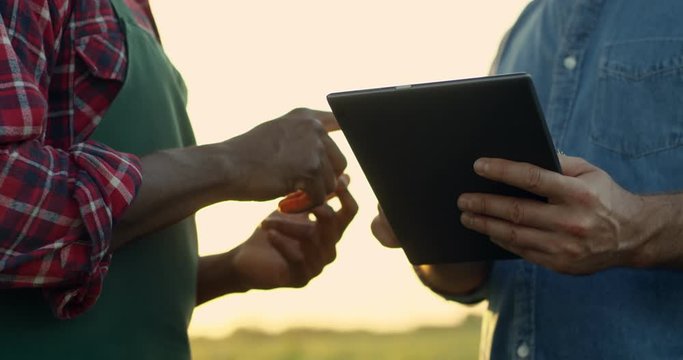Close up of the male hands of the mixed-races men farmers with tablet device while they standing in the field and deciding something, then shaking hands.