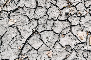 Surface of a grungy dry cracking parched earth for textural background.
