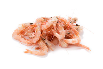 Raw Shrimp   