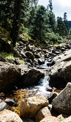 FOTOS NATURALEZA Y VIAJES