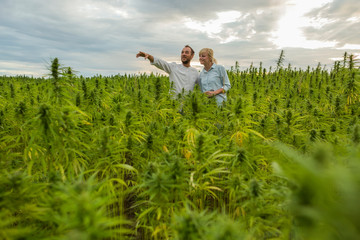 Man showing CBD hemp farm to a woman.