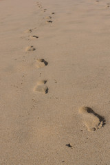 Footprints in sand on the beach