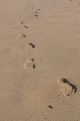 Fototapeta na wymiar Footprints in sand on the beach