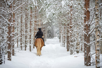 Woman horseback riding