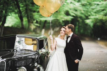 Perfect couple bride, groom posing and kissing in their wedding day