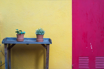 plante en pot sur une table devant un mur jaune et violet