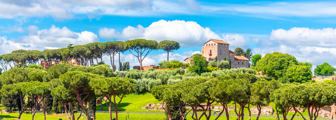 Palatine hill with umbrella pines on sunny summer day. Panoramic view. Rome, Italy